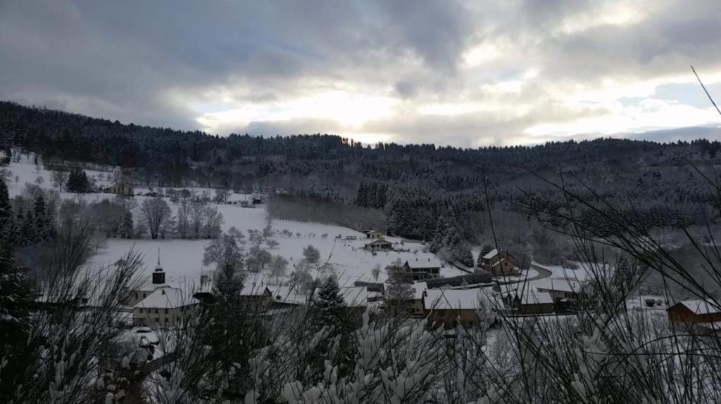 La Croix-aux-MinesLe Logis Aux Digitalesアパートメント エクステリア 写真