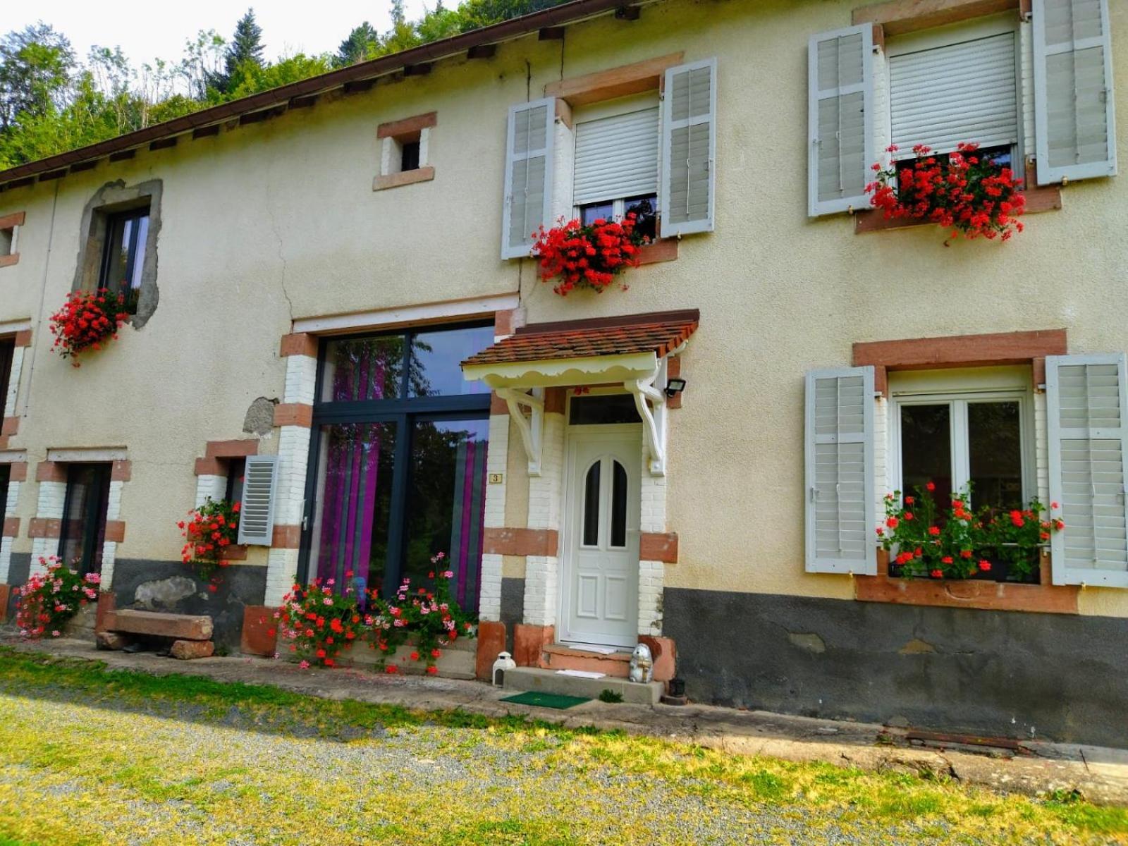 La Croix-aux-MinesLe Logis Aux Digitalesアパートメント エクステリア 写真
